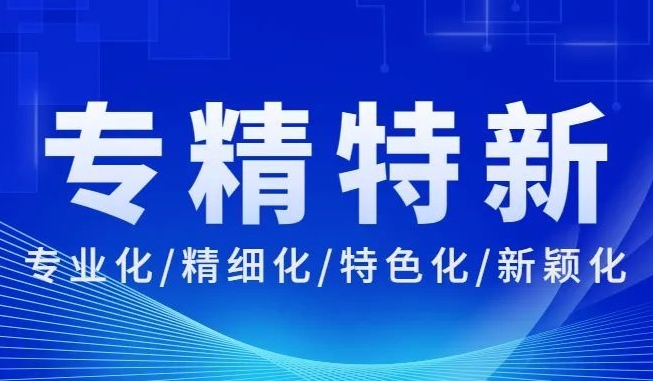 無錫華賽榮獲2023年無錫市專精特新中小企業(yè)認定